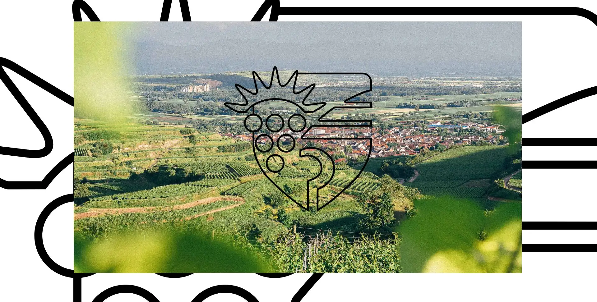 Weinberge am Kaiserstuhl